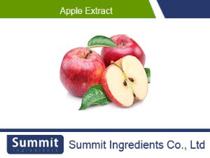 Apple Extract 80% apple polyphenol 5% apple Phlorizin,Malus pumila mill,Apple Cider Vinegar Powder,Total apple acid
