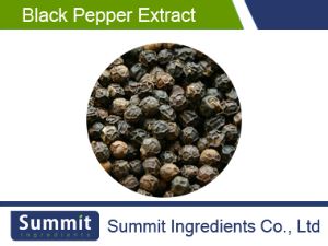 Black Pepper Extract 95% Piperine,Piper nigrum extract