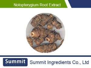 Notopterygium root extract 10:1,forrestii, incisium