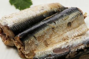 Canned Sardine In Oil