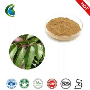 Olive Leaf Extract With Oleuropein From Olive Leaves Powder
