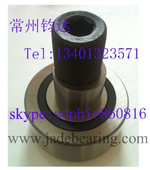 Stud Type Track Roller Bearing with Eccentric Collar (KRE19PP)