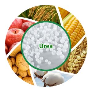 Nitrogen Fertilizer 46% Carbamide Prilled Urea Manufacturer