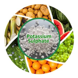 Potash Fertilizer 0-0-51 White Granular Or Powder Potassium Sulphate Price