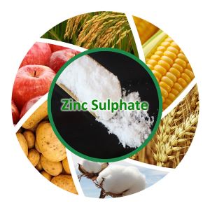 Agri Grade Fertilizer Granular Price Zinc Sulfate