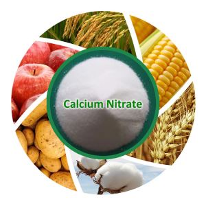 White Crystal Powder Calcium Nitrate Price
