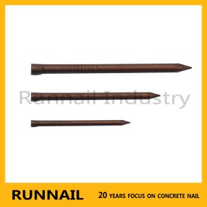 Copper Plated Concrete Nails With Flat Head Or Lost Head, Copper Surface, Strong Rust Proof, Small Box Packing, Zhejiang Plant