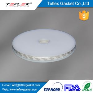 Multi-directional Expanded PTFE Sealant Joint/FDA Expanded PTFE Sealant Joint/ PTFE Joint Sealant