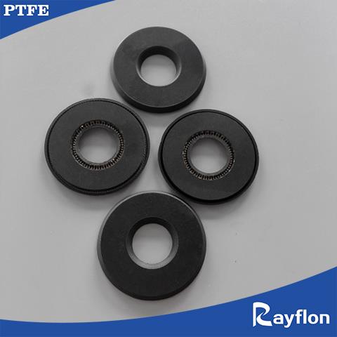 PTFE and Elastomeric Spring Energized Seals