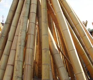 Wall Bamboo Fence For Garden Decoration