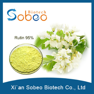 95% Rutin,sophora japonica extract Best Quality Natural  NF11,Troxerutin