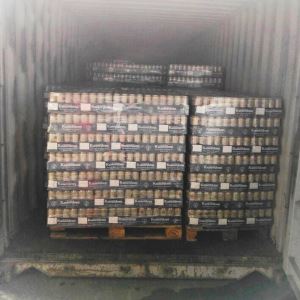 Beer Ocean Export Logistics