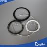 PTFE and Elastomeric Spring Energized Seals