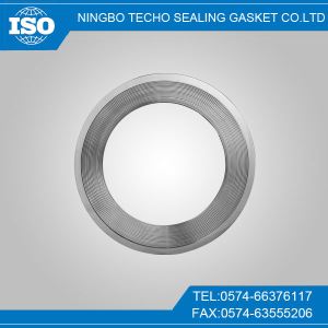 Spiral Wound Gasket With Outer Ring CG