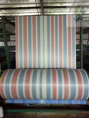 Woven Polypropylene Fabric in Roll