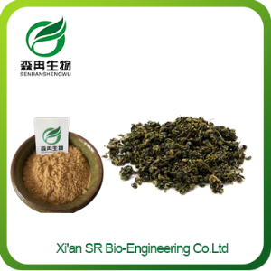 Gynostemma Pentaphyllum Extract, Factory Supply High Quality Gynostemma Extract Powder, Hot Sale Jiaogulan Powder