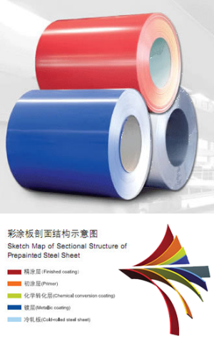 Prepainted Steel Coils Specifications