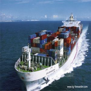 LCL/FCL shipping with fast transit time and cheap ocean freight from Shenzhen,china to Toronto/Vancouver/Montreal,Canada