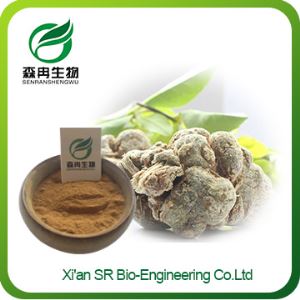 San Qi Powder, Wholesale Panax Notoginseng Extract