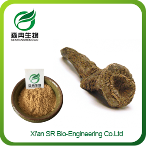 100% Natural Factory Supply Costus Root Powder
