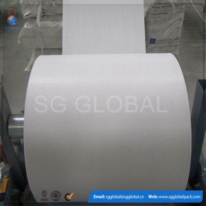 China Factory Produce 80gsm White Tubular PP Woven Fabric