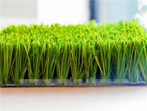 V Shape Football Grass
