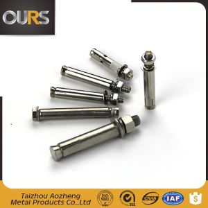 Stainless Steel Expansion Anchor Bolts