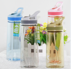 Hot Selling 600ML Plastic PC Water Bottle Made In China