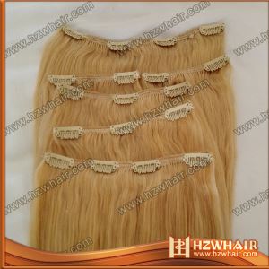 Best Hot Sale Top Fashion Newest Quality Best Price Discount Cheap Wholesale Indian Clip In Hair Extensions Brazilian Weave Free Sample Manufactures Suppliers