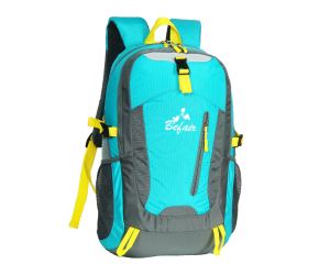 Cool Professional Popular Traveling Backpacks for Men and Women