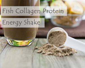 Fish Collagen Protein Energy Shake (Chocolate Flavor)