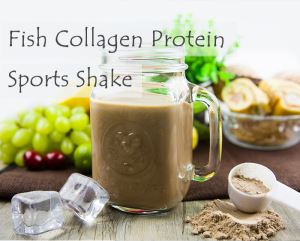Fish Collagen Protein Sports Shake (Chocolate)