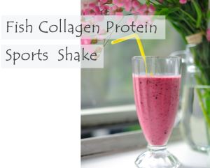 Fish Collagen Protein Sports Shake (Cranberry)