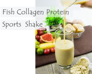 Fish Collagen Protein Sports Shake (Vanilla)