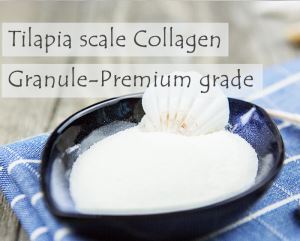 Fish Collagen Tilapia Scale Collagen Granule-Premium Grade