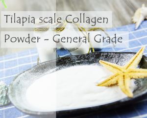 Fish Collagen Tilapia Scale Collagen Powder - General Grade