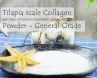 Fish Collagen Tilapia Scale Collagen Powder - General Grade