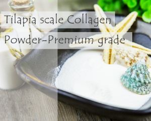 Fish Collagen Tilapia Scale Collagen Powder-Premium Grade
