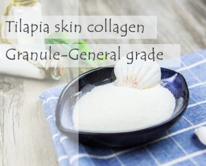 Fish Collagen Tilapia Skin Collagen Granule-General Grade