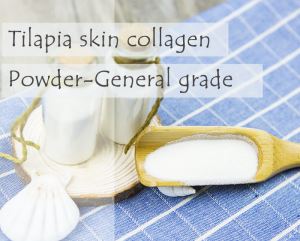 Fish Collagen Tilapia Skin Collagen Powder -General Grade
