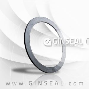 Monel C276 Basic Type or R Type Flange Spiral Wound Gasket with Best Price and Quality