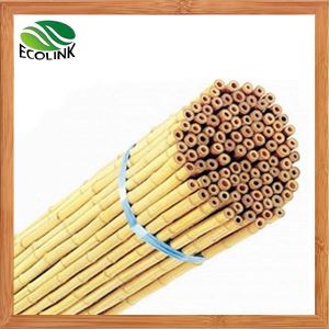 Natural Bamboo Poles Stick Cane Stake