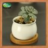 Modern Decorative White Ceramic Succulent Plant Pot W/ Bamboo Draining Tray