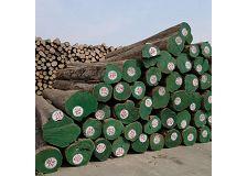 Wholesale High Quality Cheap Price Durable Burma Teak Logs for Sale