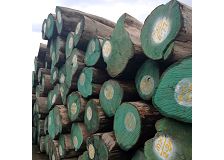 China Suppliers Wholesale Round Wood Cheap Price Top Quality Teak For Sale