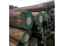 Best Price Durable and Stable High Quality Round Logs Burma Teak Wood