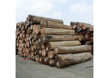 Manufacturers Direct Sales Wholesale Timber Oil Content High Durable Authentic Teak Wood Logs