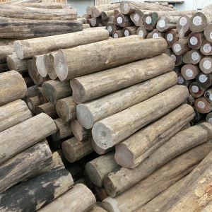 Wholesale Hot Selling Durable Lasting Top Quality Burma Teak Log Prices