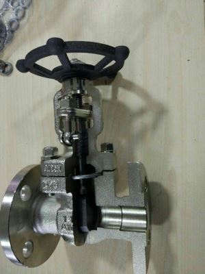 Small in Size Forged Steel Gate Valve 