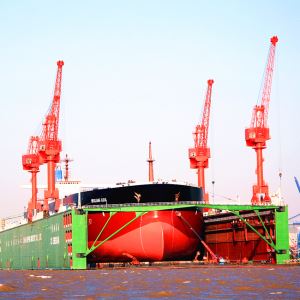 Customized Floating Dock Crane,shipyard JIB Crane and Shipbuilding Crane Manufacturer